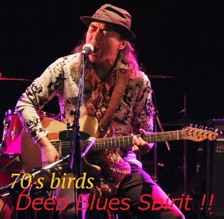 70's birds.jpg