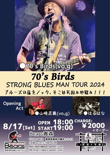 70Birds.jpg